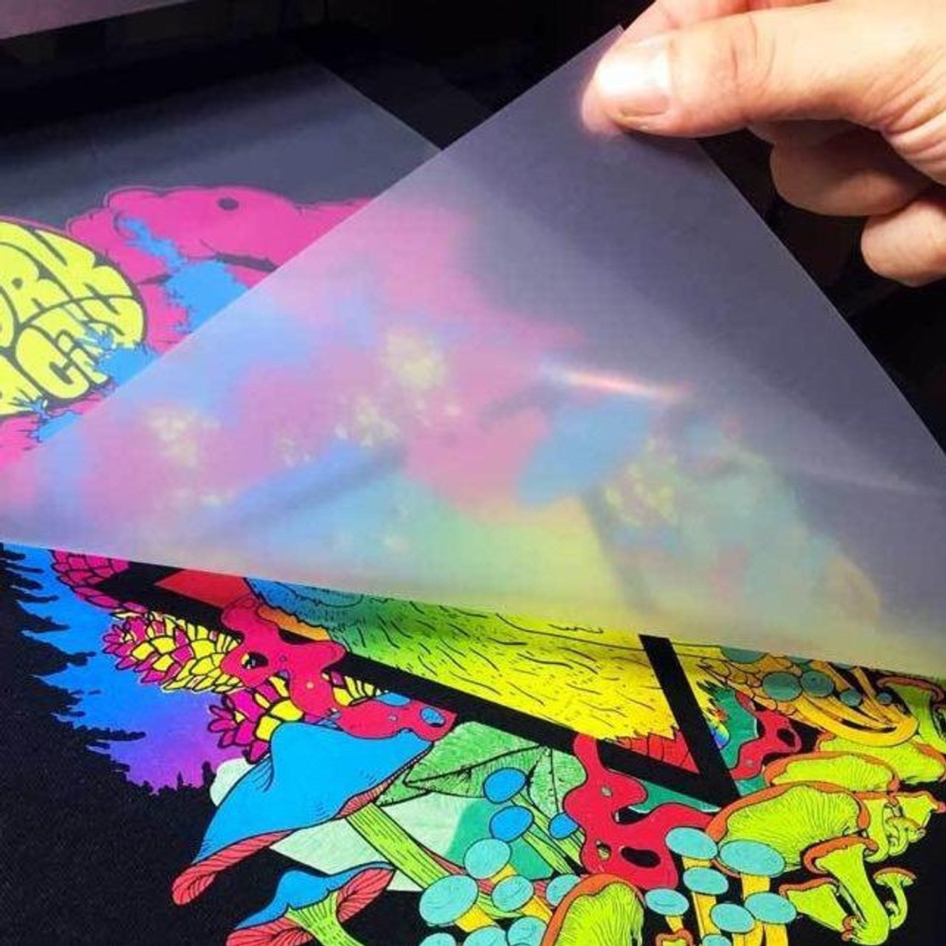 FRZ-Digital Heat Transfer Film Cold Hot Peel PET DTF White Ink Printing Film for Custom Apparel